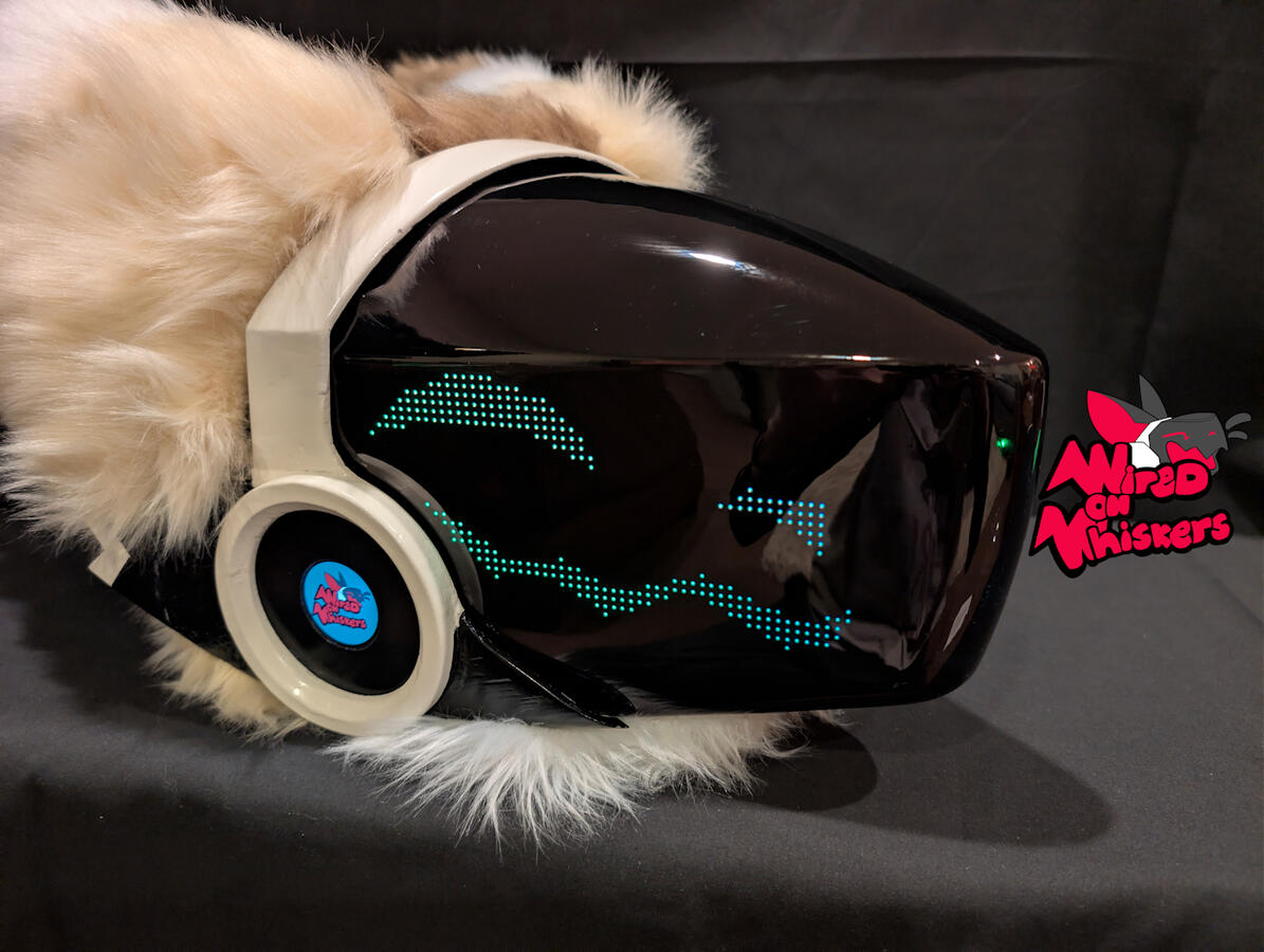 example photo of a visor on a protogen